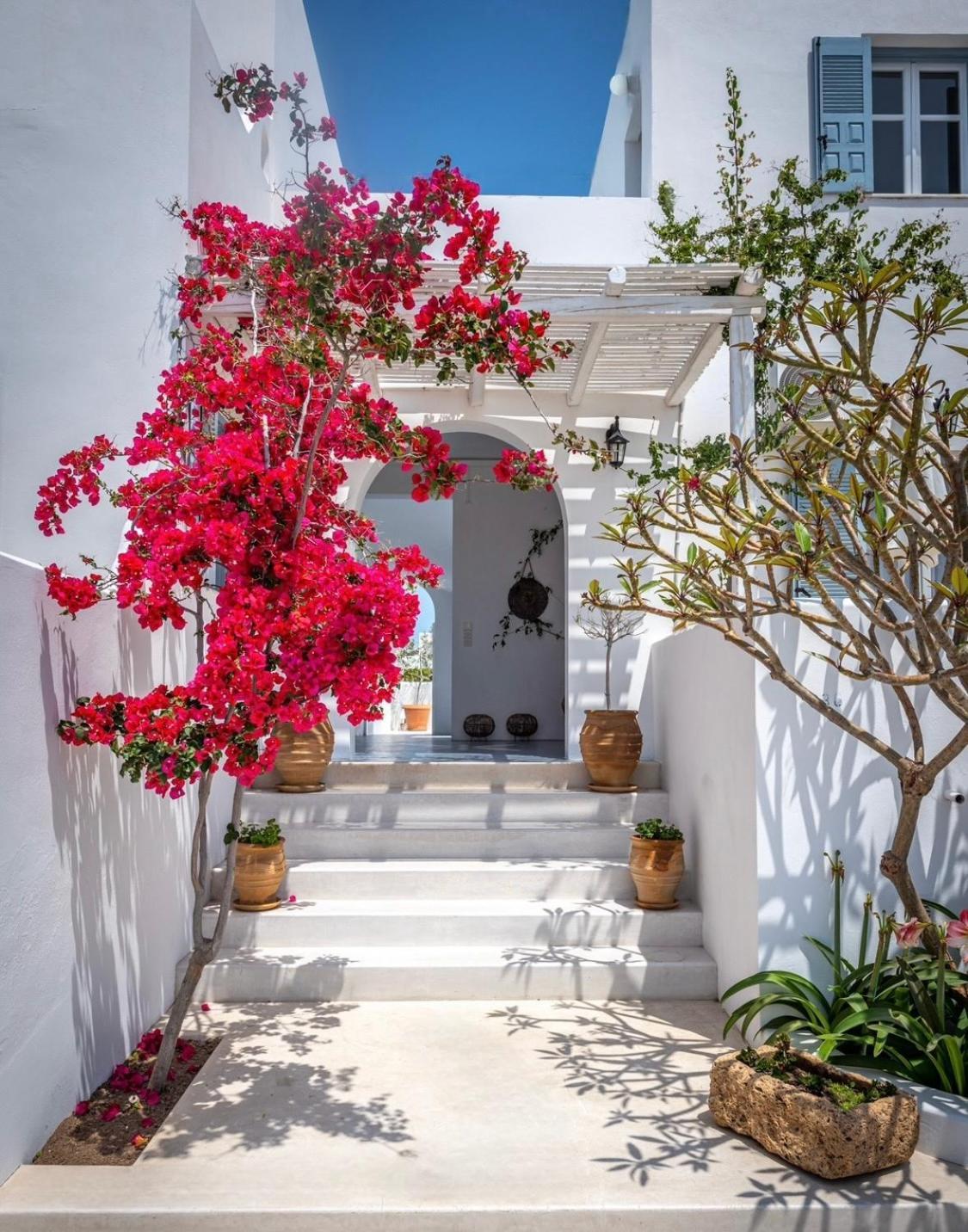Anita Rooms & Suites Milos Адамас Экстерьер фото